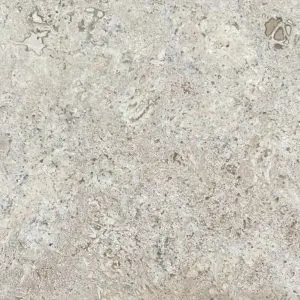 Fiorito