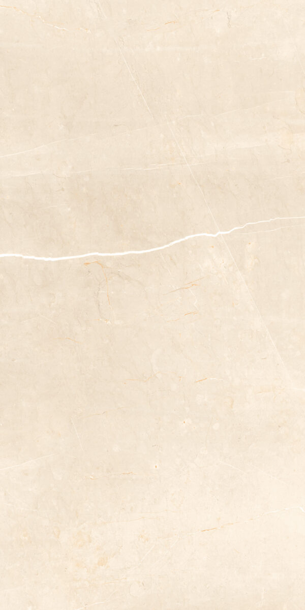Branch Bone