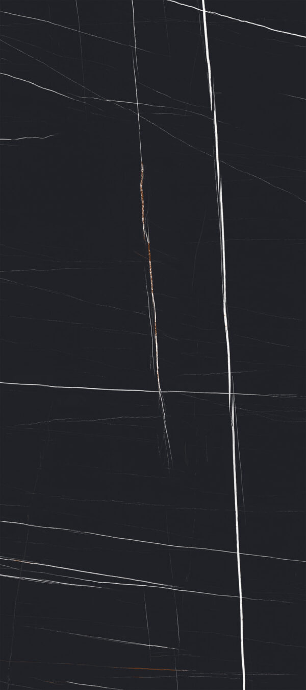 Sahara Noir