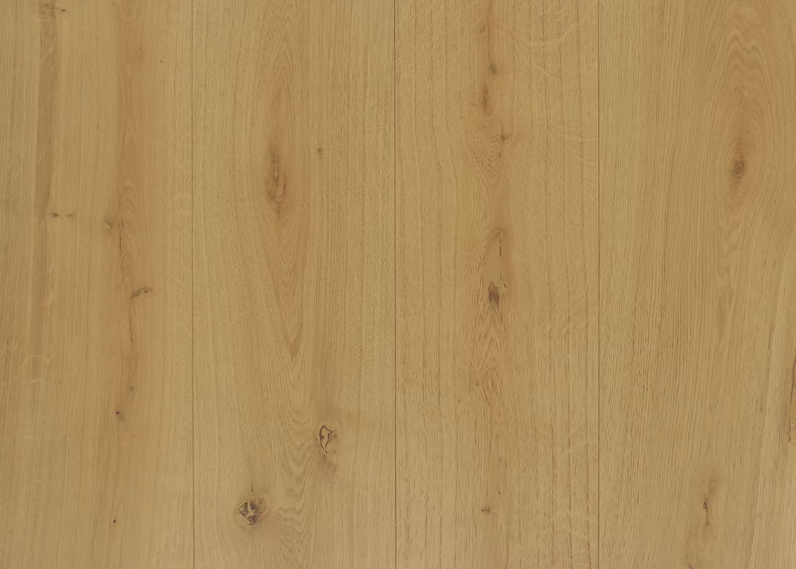 Monte — muestra del material