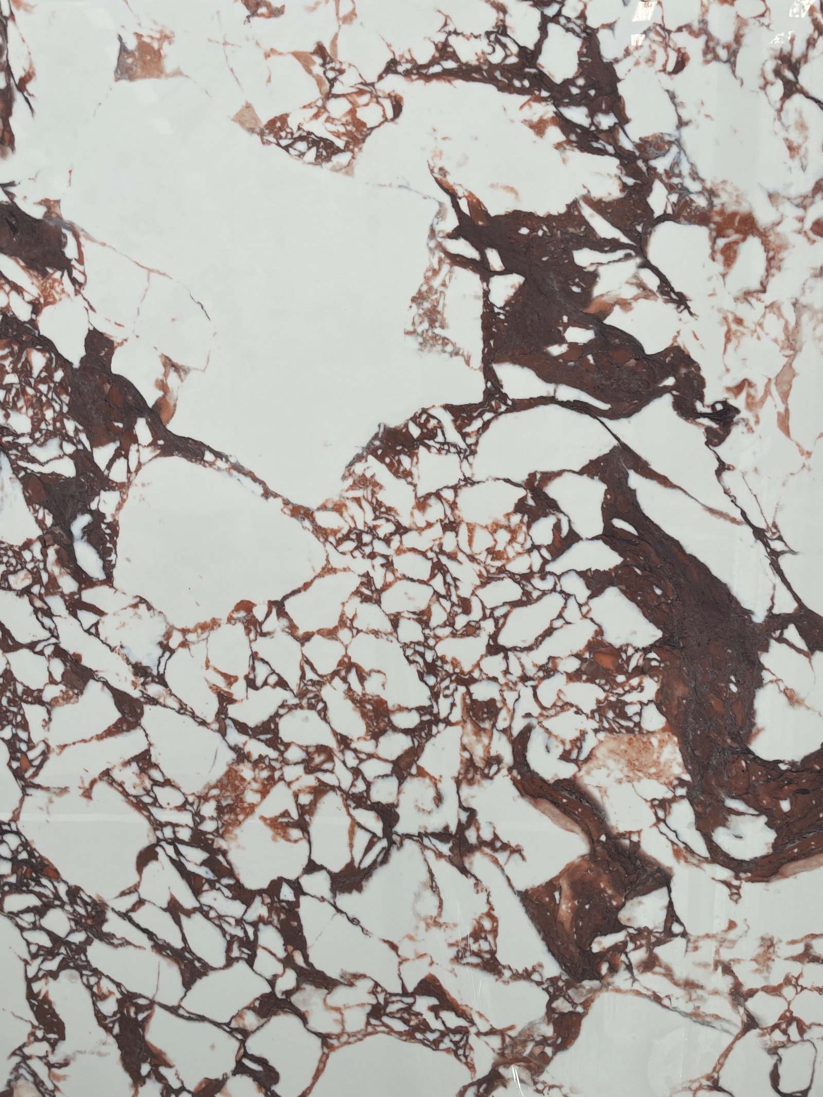 Delicatus — muestra del material