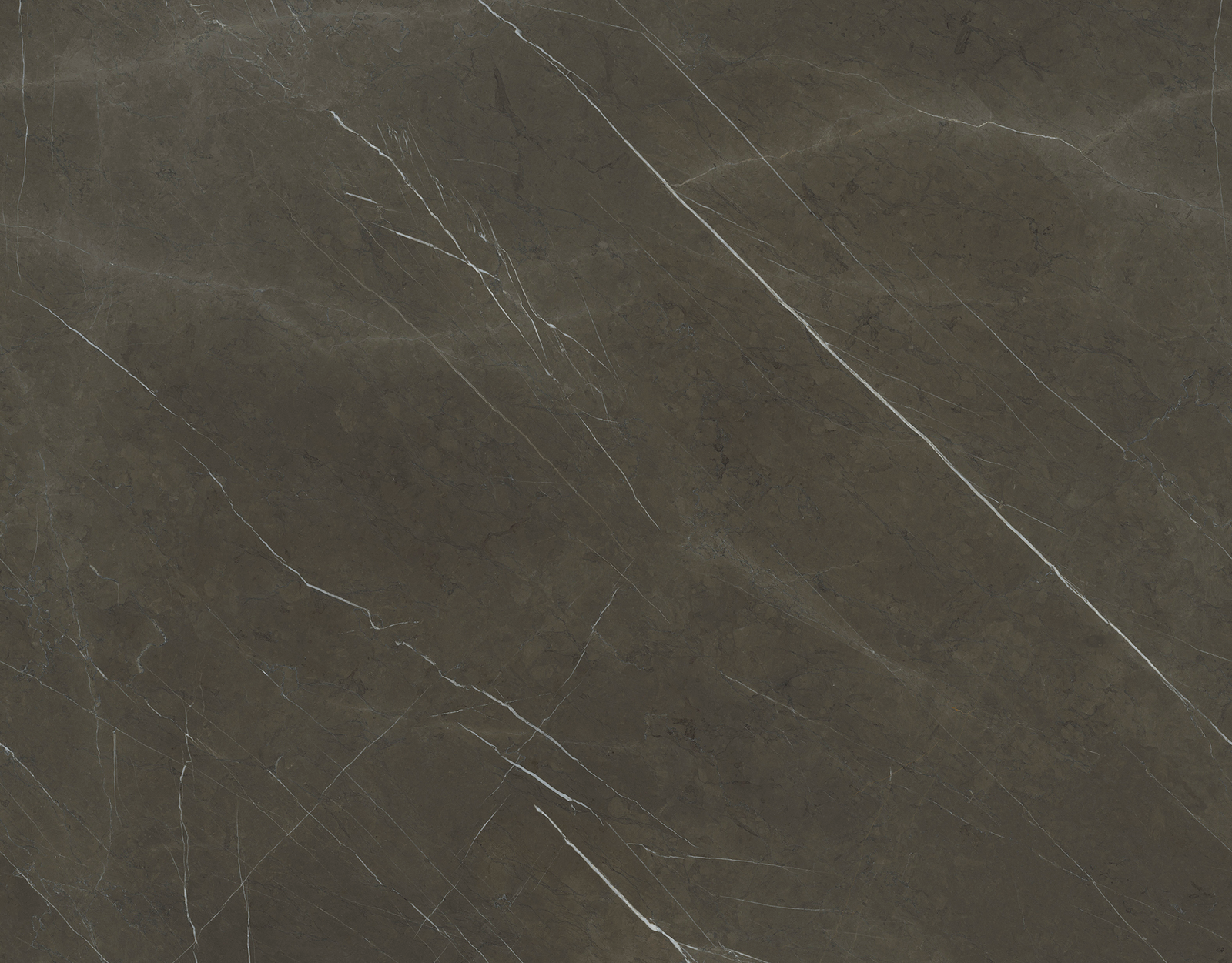 Pietra Grey — muestra del material