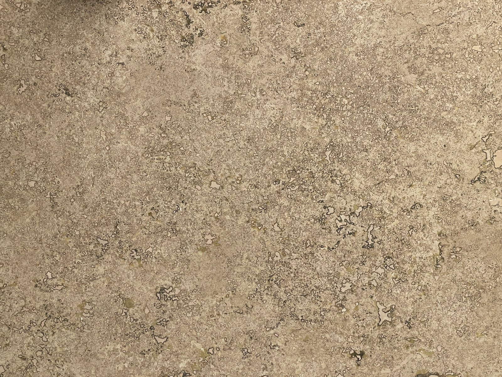 Fiorito — muestra del material