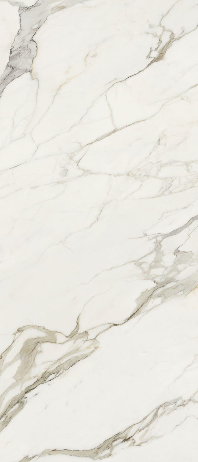 Canova Calacatta — muestra del material