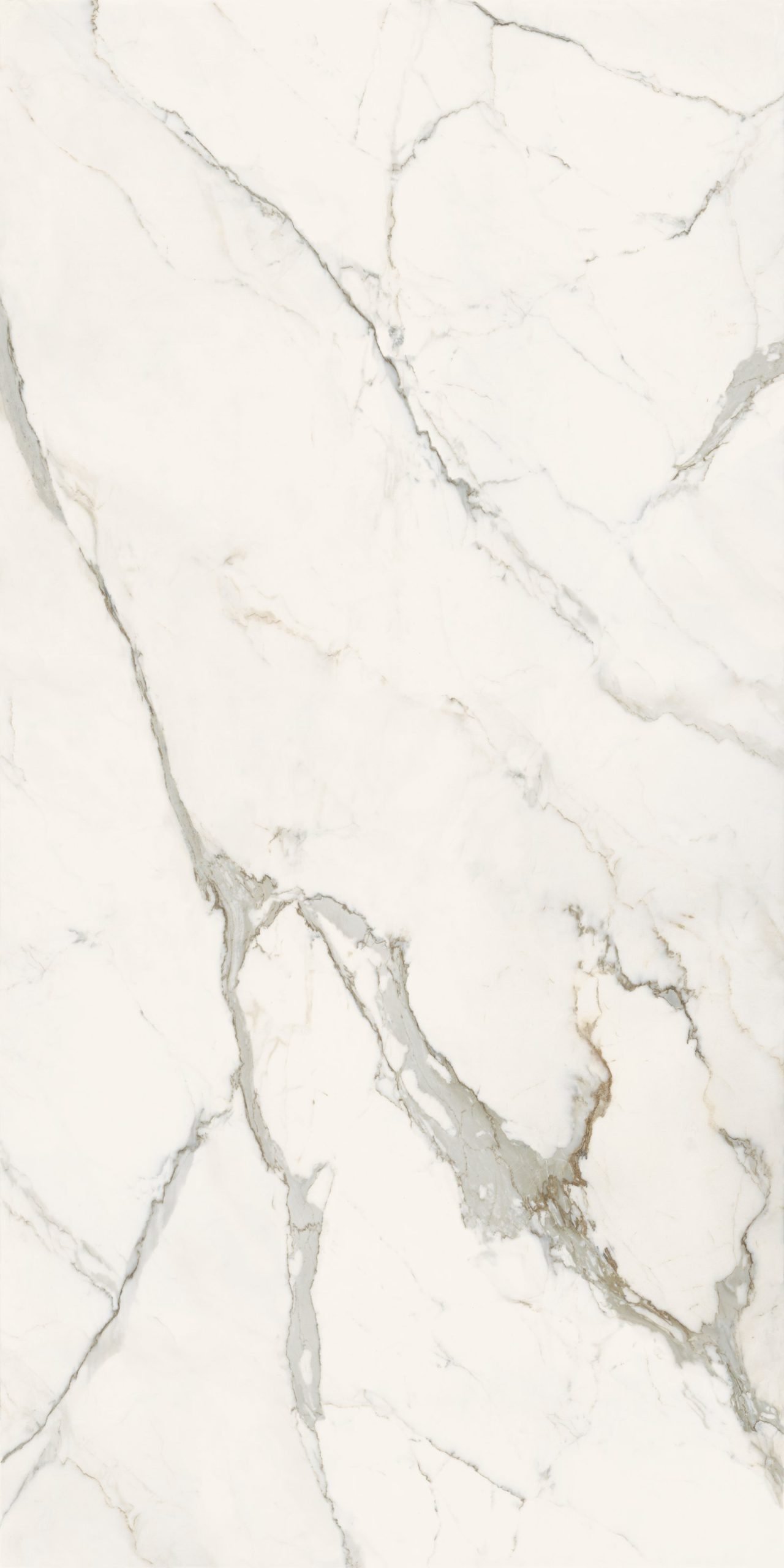Calacatta Light — muestra del material