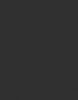 Piedra Sinterizada Black Zimbabwe