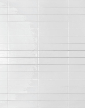 Porcelanato Mojave White