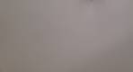 PureWhite (1)