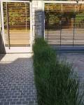 PORFIDO VERDE - APP1