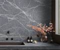 GRANITO SILVER GREY - APP10